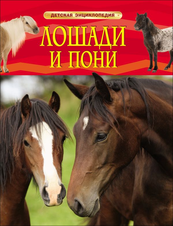 [Loshadi i poni. Dets_id990] Лошади и пони. Детская энциклопедия