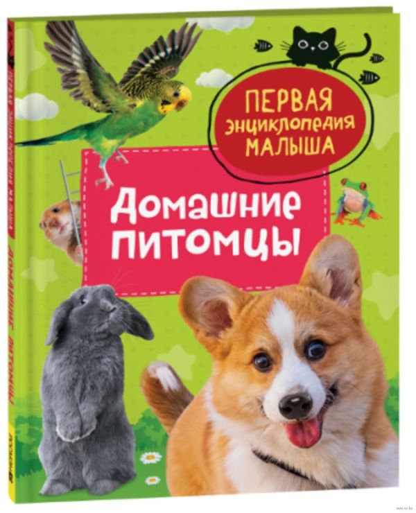Домашние питомцы. Первая энциклопедия малыша