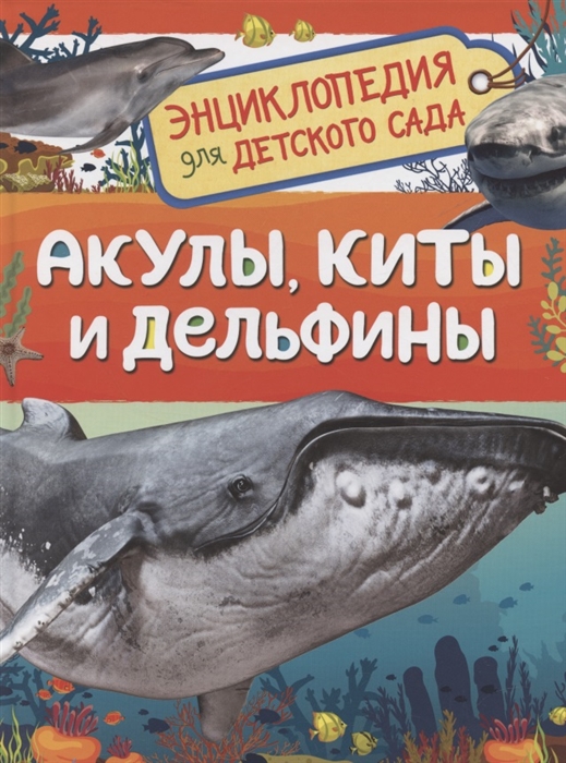 [Akuly, kity i delfin_id847] Акулы, киты и дельфины (Энциклопедия для детского сада)