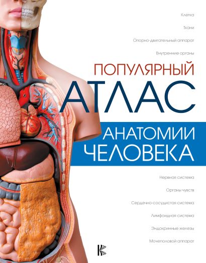 [Populyarnyy atlas an_id973] Популярный атлас анатомии человека